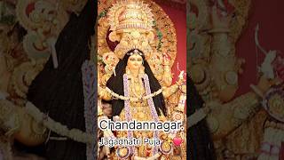 Chandannagar✨️Best Jagadhatri Puja Pandel 2024 l Trending Song m Dekhun Matha Uchu Kore l Viral Reel [upl. by Aliekahs]