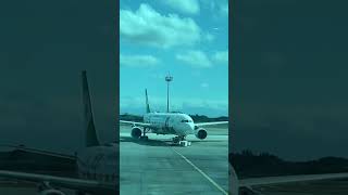 airplane evaair travel shorts youtubeshorts shortsvideo most fyp viral trending vacation [upl. by Anael396]