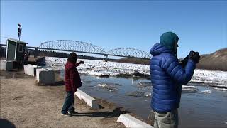 2020 Tanana River Breakup and Nenana Ice Classic [upl. by Yttik169]