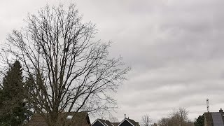 Live Storm Eunice in The Netherlands [upl. by Marybelle]