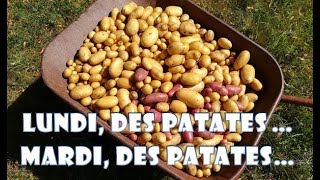 Lundi des patates  Mardi des patates [upl. by Meesan]