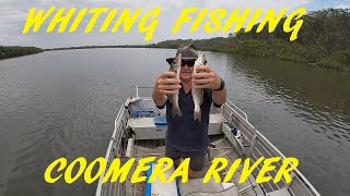 COOMERA RIVER WHITING 15TH DEC 2023 [upl. by Shewmaker639]