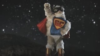 Grumpy Cat Makes Her Movie Debut Gets a Stunt Double [upl. by Vannie]