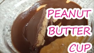 KETO RECIPE  KETOGENIC DIET  PEANUT BUTTER CUP [upl. by Nollaf532]