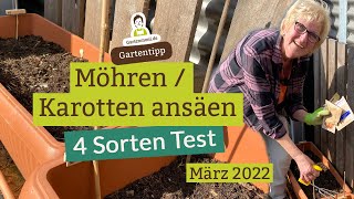 4SortenTest Karotten  Möhren ansäen im März  Karotten im Kübel anbauen [upl. by Guadalupe]