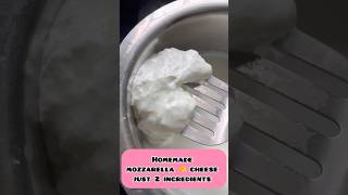 Mozzarella cheese 🧀 making just 2 ingredients cheese manamwithsathya ytshort [upl. by Nanyt555]