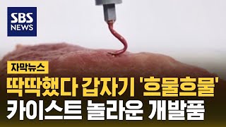 딱딱했다 갑자기 흐물흐물…카이스트 놀라운 개발품 자막뉴스  SBS [upl. by Duquette]