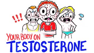 What Happens When You Take Testosterone [upl. by Outlaw206]