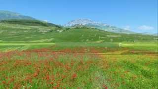 CASTELLUCCIO DI NORCIA  La FIORITURA del giugno 13  Full HD [upl. by Anasus]