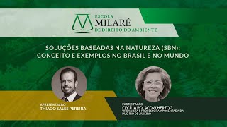 Soluções Baseadas na Natureza SbN conceito e exemplos no Brasil e no mundo [upl. by Maiah430]