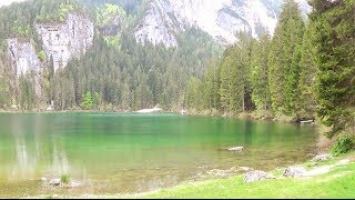 Lago di Tovel  Parco Naturale AdamelloBrenta  Trentino [upl. by Woermer]