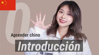 Introducción al idioma  Mandarín para principiantes  Aprender Chino 🍍 [upl. by Arodal]