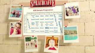 Sprachcaffe  U20 Programme  Malta Day 3 [upl. by Nylaf]