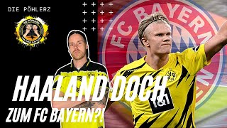 🖤💛 BVB Newsflash  Haaland doch zum FC Bayern  Nächster BVBAbgang fix 💥 [upl. by Pearl715]