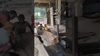 Harw lumbar sawing 🥰 wood cutting lumberwoodworing reels sorts viralvideo tending [upl. by Meit]