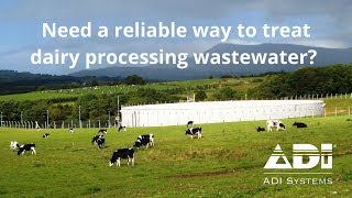 Treating Dairy Processing Wastewater [upl. by Ocirred537]