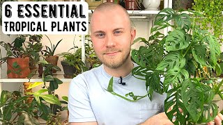 6 Essential Houseplants For A TROPICAL Indoor Jungle [upl. by Leatri]