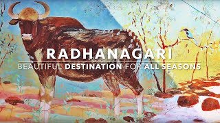 Radhanagari Dajipur Wildlife Sanctuary World Heritage Site Part  1 [upl. by Einimod]