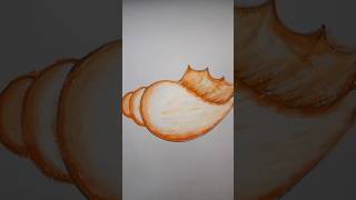 conch shellSankhanad drawing trending drawing artviralshortsytshorts [upl. by Anavi565]