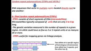 Monogenic Disease 2 [upl. by Eizzo]