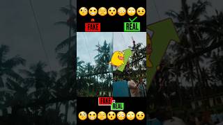 Fake vs Real  Bird unfurl national flag video shorts viralvideo viralshorts [upl. by Ninel130]