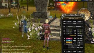 Shaiya Ranger Bug 1 Pvp 2030  No Luck Buff [upl. by Donny]