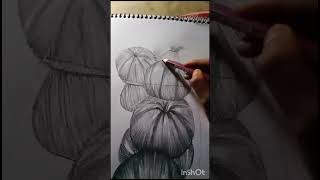 Stil life drawing sortvideo [upl. by Aihsem]