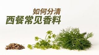 中英文对照！西餐中最常见TOP10种 香料 调料怎么用？羊排牛排怎么做好吃？罗勒  欧芹  薄荷  番红花 [upl. by Neelyk517]