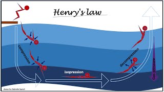 Scuba Diving Risks  Decompression Sickness [upl. by Llenyt466]