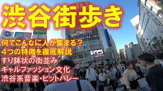 渋谷を歩いてみた 街並み・ギャルファッション・渋谷系音楽・ビットバレー。。。 [upl. by Brunell]