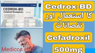 Cefadroxil 500mg  Cefadroxil tablet uses in hindi  CedroxBD 500mg tablet  uses benefit in Urdu [upl. by Norword]