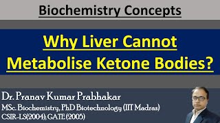 Why Liver Cannot Metabolise Ketone Bodies pkprabhakar clinicalbiochemistry [upl. by Nwahser]