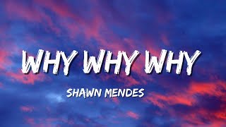 Why Why Why  Shawn Mendes [upl. by Lorenzana]