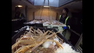 Snow Crab Fishing 2020 Recap  Bait Tubs [upl. by Anjanette744]