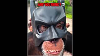 Best Batman Cosplay Moments☠️☠️ [upl. by Julissa]