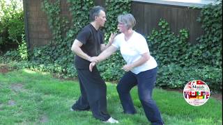 Yangstyle Taijiquan 8 Discframed Pushhands 4 5 amp 6 performed by Jim Madras amp Erica Anderson [upl. by Soirtemed]