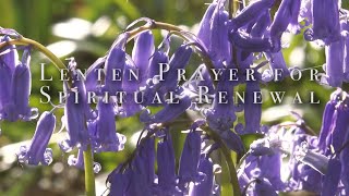 Lenten Prayer for Spiritual Renewal HD [upl. by Eirrak]