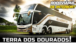 MOVIMENTO DE ÔNIBUS EM BLUMENAU A RODOVIÁRIA É DOMINADA POR UMA EMPRESA DE LUXO [upl. by Lamonica667]