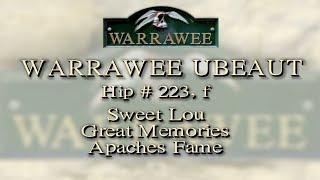 H223Lex Warrawee Ubeaut [upl. by Kutzer]