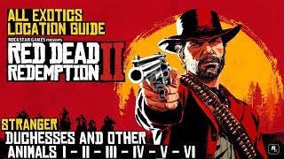 Red Dead Redemption 2 ★ Stranger Duchesses And Other Animals All Exotics Location Guide [upl. by Orwin]