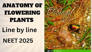 Anatomy of flowering plants Ncert line by line [upl. by Aurelio]