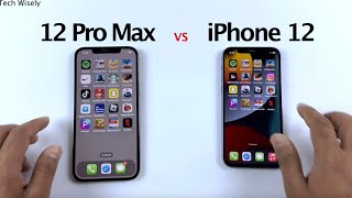 Should You Buy iPhone 12 Pro Max in 2024 [upl. by Dougherty]