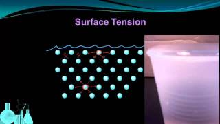 Chemistry 82b Properties of Liquids Surface Tension and Capillary Action [upl. by Sibley]