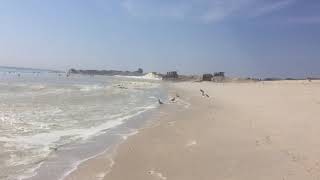 Beach Dredging in Seaside Park [upl. by Aillij]