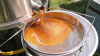 Harvesting BUCKETS of Honey 95 Pounds [upl. by Sudnac]