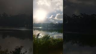 Raining 🌧 at Chollas Lake San Diego [upl. by Fortier451]