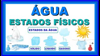 ESTADOS FÍSICOS DA ÁGUA  Vila Educativa [upl. by Downs57]