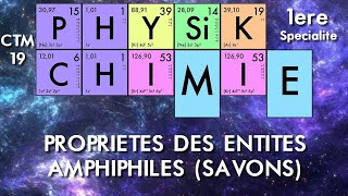 Physiquechimie  Première  08 Propriétés des entités amphiphile savons [upl. by Cassandry]