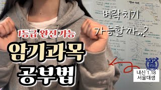 내신 118 서울대생의 암기과목 공부법  1등급 진짜 가능 진짜 암기과목은 1등급 맞을 수 있음  벼락치기 공부법 [upl. by Aissenav868]