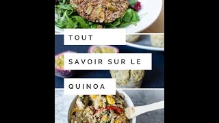 Tout savoir sur le quinoa [upl. by Hadden]